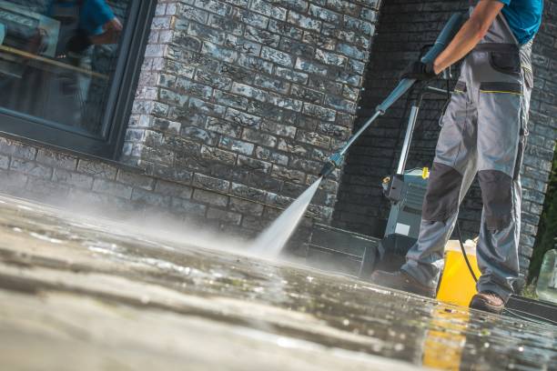 Best Roof Washing  in Puyallup, WA