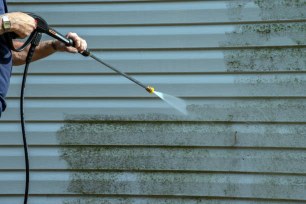 Best Driveway Pressure Washing  in Puyallup, WA