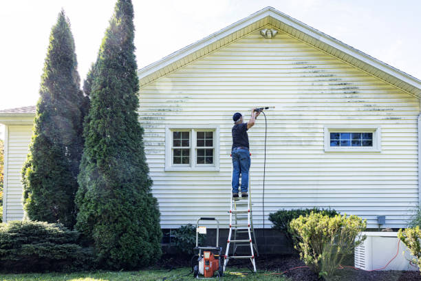 Best Gutter Cleaning  in Puyallup, WA