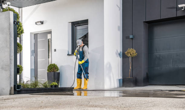 Best Fleet Vehicle Washing  in Puyallup, WA